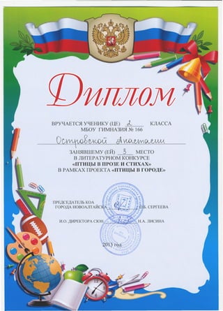 птицы в городе