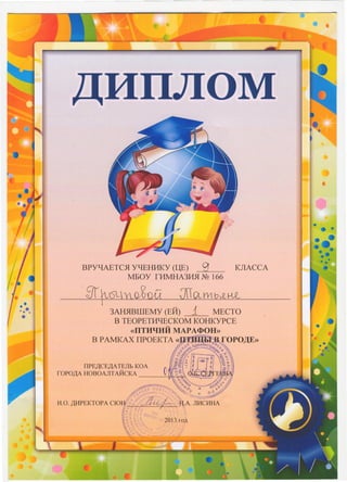 птицы в городе