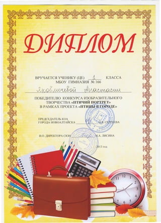 птицы в городе