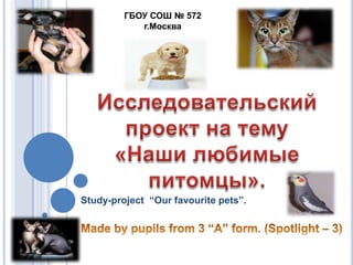 Study-project “Our favourite pets”.
ГБОУ СОШ № 572
г.Москва
 