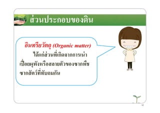 ส่วนประกอบของึϸน
อินทรียวัตถุ (Organic matter)
ได้แก่ส่วนที)เกิดจากการเน่าได้แก่ส่วนที)เกิดจากการเน่า
เปื)อยผุพังหรือสลายตัวของซากพืช
ซากสัตว์ที)ทับถมกัน
12
 