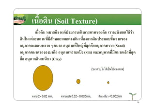 เนื8อึϸน (Soil Texture)เนื8อึϸน (Soil Texture)
เนื8อึϸน หมายถึง องค์ประกอบเชิงกายภาพของึϸน เราจะสังเกตได้ว่า
ึϸนในแต่ละสถานที)มีลักษณะแตกต่างกัน เนื)องจากึϸนประกอบขึ8นจากของ
อนุภาคตะกอนหลาย ๆ ขนาด อนุภาคที)ใหญ่ที)สุดคืออนุภาคทราย (Sand)
อนุภาคขนาดรองลงมาคือ อนุภาคทรายแป้ ง (Silt) และอนุภาคที)มีขนาดเล็กที)สุด
คือ อนุภาคึϸนเหนียว (Clay)
อนุภาคขนาดรองลงมาคือ อนุภาคทรายแป้ ง (Silt) และอนุภาคที)มีขนาดเล็กที)สุด
คือ อนุภาคึϸนเหนียว (Clay)
19
 