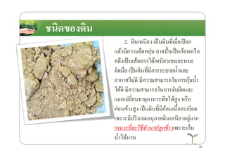 2. ึϸนเหนียว เป็นึϸนที4เมื4อเปียก
แล้วมีความยืดหยุ่น อาจปั*นเป็นก้อนหรือ
คลึงเป็นเส้นยาวได้เหนียวเหนอะหนะ
ติดมือ เป็นึϸนที4มีการระบายนํ*าและ
อากาศไม่ดี มีความสามารถในการอุ้มนํ*า
ชนิดของึϸนชนิดของึϸน
อากาศไม่ดี มีความสามารถในการอุ้มนํ*า
ได้ดี มีความสามารถในการจับยึดและ
แลกเปลี4ยนธาตุอาหารพืชได้สูง หรือ
ค่อนข้างสูง เป็นึϸนที4มีก้อนเนื*อละเอียด
เพราะมีปริมาณอนุภาคึϸนเหนียวอยู่มาก
เหมาะทีจะใช้ทํานาปลูกข้าวเพราะเก็บ
นํ*าได้นาน
22
 