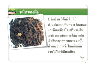 3. ึϸนร่วน ได้แก่ ึϸนที4มี
ส่วนประกอบึϸนทราย โคลนตม
และึϸนเหนียวโดยปริมาณึϸน
เหนียวและึϸนทรายไม่มากนัก
ชนิดของึϸนชนิดของึϸน
เหนียวและึϸนทรายไม่มากนัก
เม็ดึϸนขนาดพอเหมาะ ฉะนั*น
นํ*าและอากาศจึงไหลผ่านึϸน
ร่วนได้ดีกว่าึϸนเหนียว
23
 
