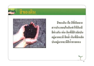 สีของึϸน คือ สีที)เกิดจาก
สารประกอบในึϸนทําให้ึϸนมี
สีต่างกัน เช่น ึϸนที)มีฮิวมัสปน
สีของึϸน
สีต่างกัน เช่น ึϸนที)มีฮิวมัสปน
อยู่มากจะมี สีคลํ8า ึϸนที)มีเหล็ก
ปนอยู่มากจะมีสีนํ8าตาลแดง
24
 