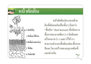 หน้าตัดึϸนหน้าตัดึϸน
หน้าตัดึϸนประกอบด้วย
ึϸนที4ทับถมกันเป็นชั*นๆ เรียกว่า
“ชั*นึϸน” (Soil horizon) ชั*นึϸนบาง
ชั*นอาจจะบางเพียง 2-3 มิลลิเมตร
“ชั*นึϸน” (Soil horizon) ชั*นึϸนบาง
ชั*นอาจจะบางเพียง 2-3 มิลลิเมตร
หรือหนากว่า 1 เมตร ก็ได้เรา
สามารถจําแนกชั*นึϸนแต่ละชั*นจาก
สีและโครงสร้างของอนุภาคึϸนที4
แตกต่างกัน
32
 