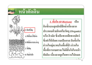 หน้าตัดึϸนหน้าตัดึϸน
1. ชั!นโอ (O Horizon) เป็น
ึϸนชั8นบนสุดมักมีสีคลํ8าเนื)องจาก
ประกอบด้วยอินทรียวัตถุ (Organic)ประกอบด้วยอินทรียวัตถุ (Organic)
หรือ ฮิวมัส ซึ)งเป็นซากพืชซากสัตว์
ซึ)งทําให้เกิดความเป็นกรด ึϸนชั8นโอ
ส่วนใหญ่จะพบในพื8นที)ป่ า ส่วนใน
พื8นที)การเกษตรจะไม่มีชั8นโอในหน้า
ตัดึϸน เนื)องจากถูกไถพรวนไปหมด
33
 