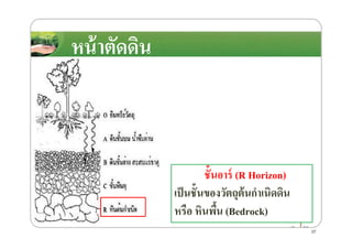 หน้าตัดึϸนหน้าตัดึϸน
ชั8นอาร์ (R Horizon)
เป็นชั8นของวัตถุต้นกําเนิดึϸน
หรือ หินพื8น (Bedrock)
37
 