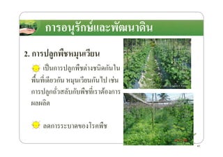 การอนุรักษ์และพัฒนาึϸนการอนุรักษ์และพัฒนาึϸน
2. การปลูกพืชหมุนเวียน
เป็นการปลูกพืชต่างชนิดกันใน
พื*นที4เดียวกัน หมุนเวียนกันไป เช่นพื*นที4เดียวกัน หมุนเวียนกันไป เช่น
การปลูกถั4วสลับกับพืชที4เราต้องการ
ผลผลิต
ลดการระบาดของโรคพืช
41
 