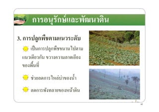 การอนุรักษ์และพัฒนาึϸนการอนุรักษ์และพัฒนาึϸน
3. การปลูกพืชตามแนวระดับ
เป็นการปลูกพืชขนานไปตาม
แนวเดียวกัน ขวางความลาดเอียงแนวเดียวกัน ขวางความลาดเอียง
ของพื*นที4
ช่วยลดการไหล่บ่าของนํ*า
ลดการพังทลายของหน้าึϸน
42
 