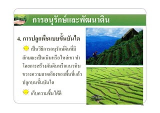 การอนุรักษ์และพัฒนาึϸนการอนุรักษ์และพัฒนาึϸน
4. การปลูกพืชแบบขั8นบันได
เป็นวิธีการอนุรักษ์ึϸนที4มี
ลักษณะเป็นเนินหรือไหล่เขา ทําลักษณะเป็นเนินหรือไหล่เขา ทํา
โดยการสร้างคันึϸนหรือแนวหิน
ขวางความลาดเอียงของพื*นที4แล้ว
ปลูกบนขั*นบันได
เก็บความชื*นได้ดี
43
 