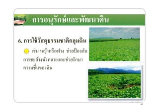 การอนุรักษ์และพัฒนาึϸนการอนุรักษ์และพัฒนาึϸน
6. การใช้วัสดุธรรมชาติคลุมึϸน
เช่น หญ้าหรือฟาง ช่วยป้ องกัน
การชะล้างพังทลายและช่วยรักษาการชะล้างพังทลายและช่วยรักษา
ความชื*นของึϸน
45
 