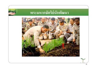 พระมหากษัตริย์นักพัฒนา
48
 