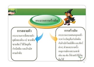 การสลายตัว
กระบวนการที4สลายตัว
กระบวนการสร้างึϸน
การสร้างึϸน
กระบวนการผสมคลุกเคล้า
การสลายตัว
กระบวนการที4สลายตัว
ผุพังของหิน แร่ ซากพืช
ซากสัตว์ได้วัตถุต้น
กําเนิดึϸน และฮิวมัส
ตามลําดับ
กระบวนการผสมคลุกเคล้า
ระหว่างวัตถุต้นกําเนิดึϸน
กับฮิวมัสโดยมีพืช และสัตว์
ต่างๆ ช่วยและบางครั*ง
เหตุการณ์ทางธรรมชาติ
เช่น ลม ฝน ก็ช่วยทําให้เกิด
ึϸนได้
5
 