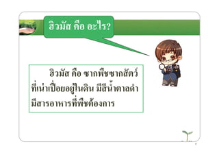 ฮิวมัส คือ ซากพืชซากสัตว์
ฮิวมัส คือ อะไร?
ฮิวมัส คือ ซากพืชซากสัตว์
ที)เน่าเปื)อยอยู่ในึϸน มีสีนํ8าตาลดํา
มีสารอาหารที)พืชต้องการ
7
 
