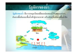 วัฏจักรของนํ,า
วัฏจักรของนํา คือ การหมุนเวียนเปลี&ยนแปลงของนําในสถานะต่างๆ
กันจากพืนึϸนและพืนนําเข้าสู่บรรยากาศ แล้วกลับสู่พืนึϸนแลพืนนําอีก
 