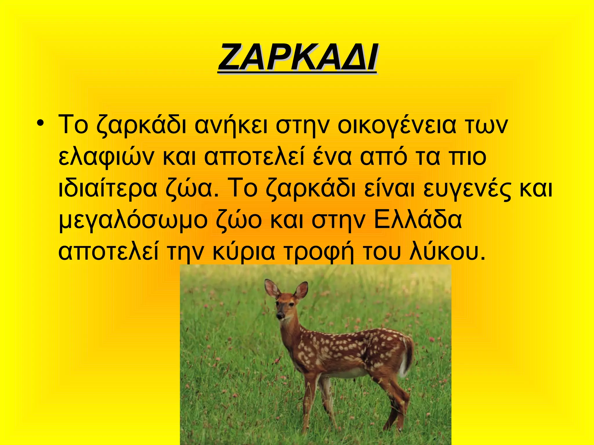 ΖΑΡΚΑΔΙΖΑΡΚΑΔΙ
• Το ζαρκάδι ανήκει στην οικογένεια των
ελαφιών και αποτελεί ένα από τα πιο
ιδιαίτερα ζώα. Το ζαρκάδι είναι ευγενές και
μεγαλόσωμο ζώο και στην Ελλάδα
αποτελεί την κύρια τροφή του λύκου.
 