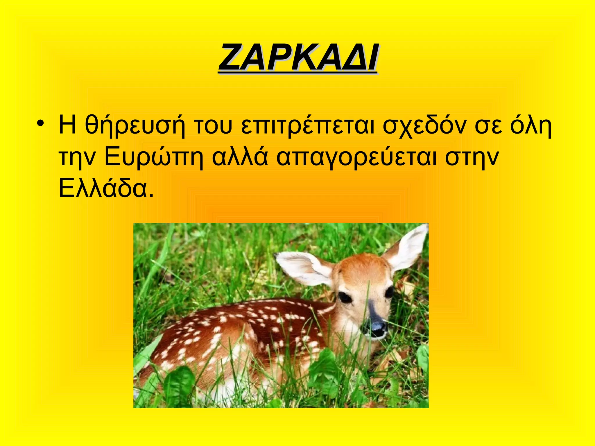 ΖΑΡΚΑΔΙΖΑΡΚΑΔΙ
• Η θήρευσή του επιτρέπεται σχεδόν σε όλη
την Ευρώπη αλλά απαγορεύεται στην
Ελλάδα.
 