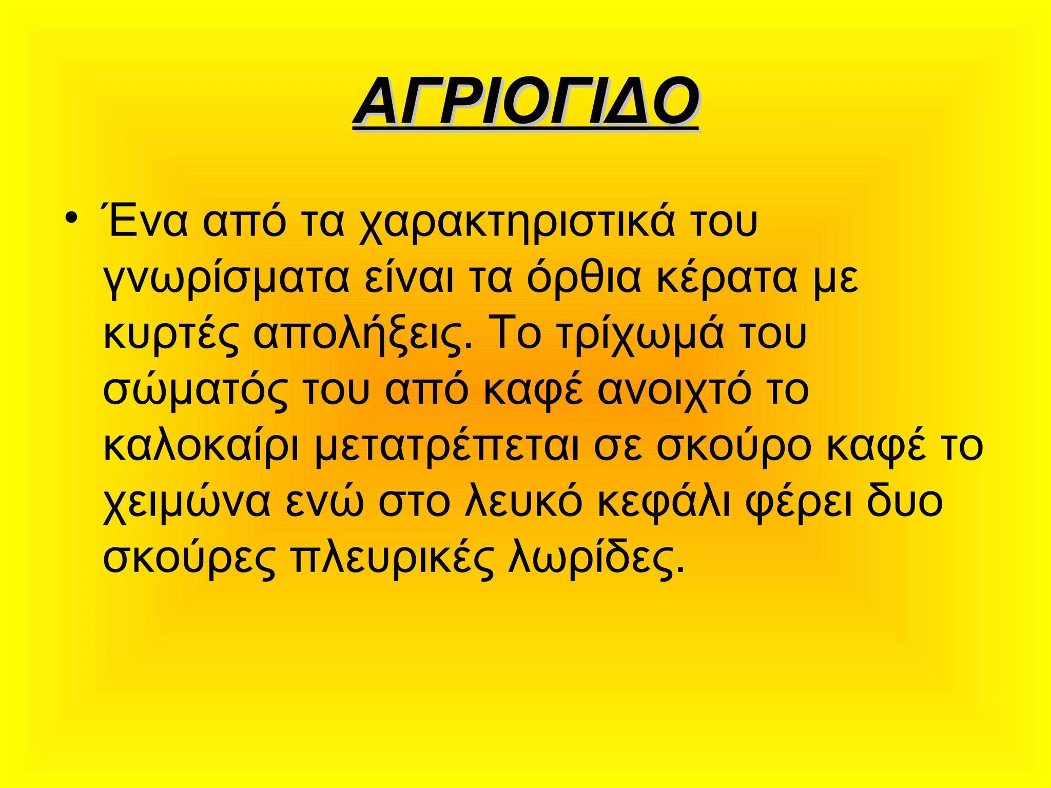 ΑΓΡΙΟΓΙΔΟΑΓΡΙΟΓΙΔΟ
• Ένα από τα χαρακτηριστικά του
γνωρίσματα είναι τα όρθια κέρατα με
κυρτές απολήξεις. Το τρίχωμά του
σώματός του από καφέ ανοιχτό το
καλοκαίρι μετατρέπεται σε σκούρο καφέ το
χειμώνα ενώ στο λευκό κεφάλι φέρει δυο
σκούρες πλευρικές λωρίδες.
 
