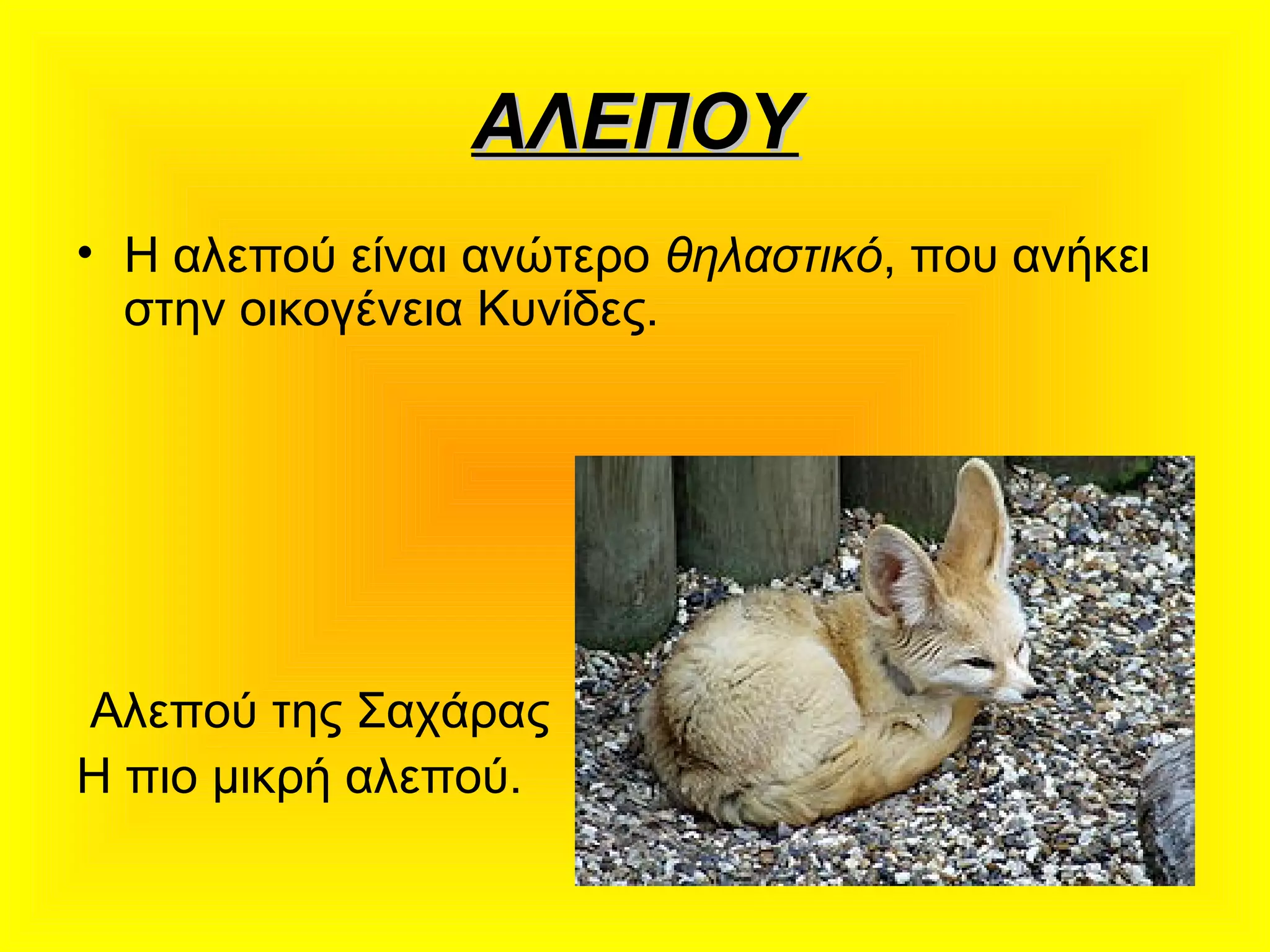 ΑΛΕΠΟΥΑΛΕΠΟΥ
• Η αλεπού είναι ανώτερο θηλαστικό, που ανήκει
στην οικογένεια Κυνίδες.
Αλεπού της Σαχάρας
Η πιο μικρή αλεπού.
 