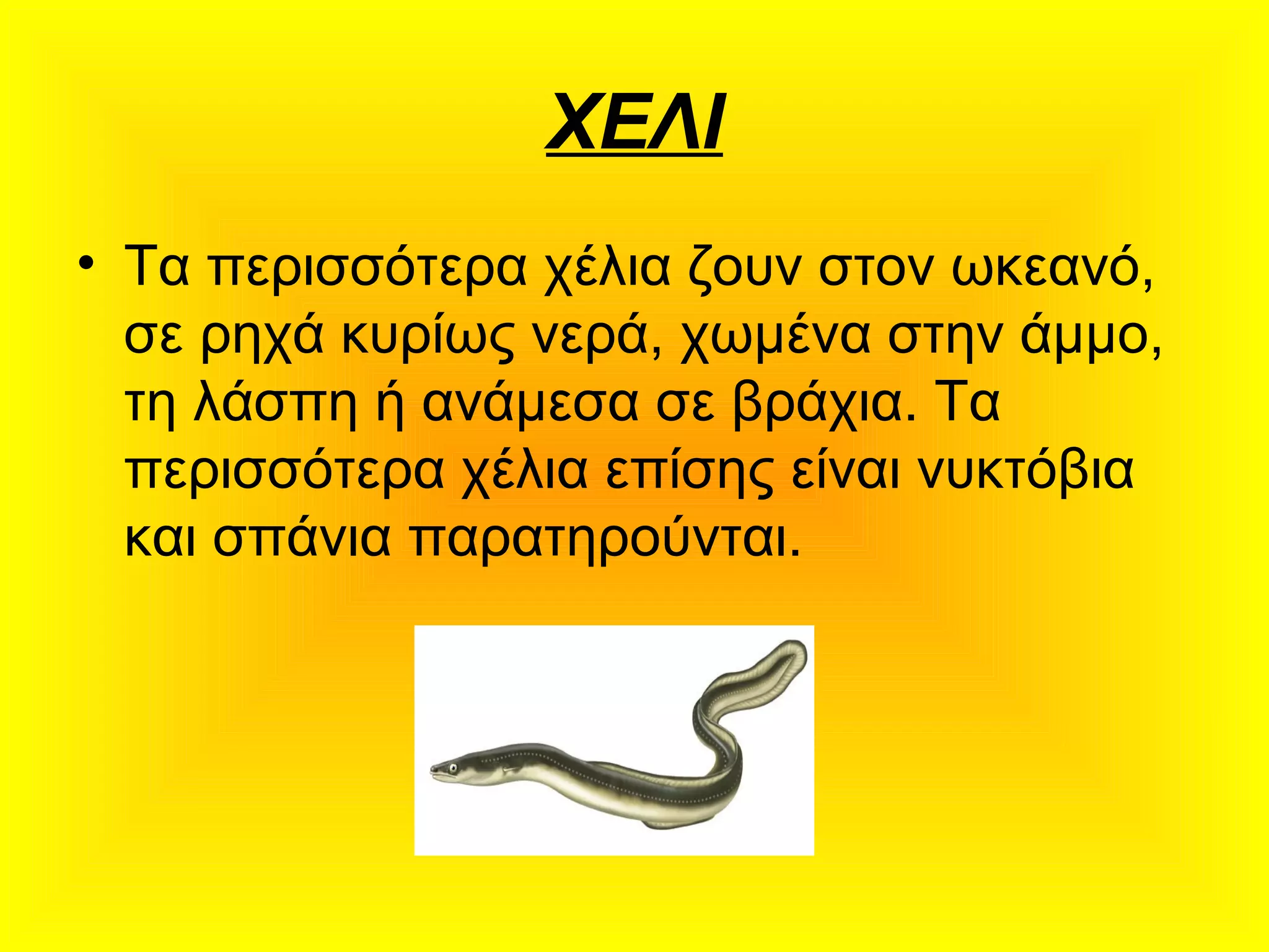 ΧΕΛΙ
• Τα περισσότερα χέλια ζουν στον ωκεανό,
σε ρηχά κυρίως νερά, χωμένα στην άμμο,
τη λάσπη ή ανάμεσα σε βράχια. Τα
περισσότερα χέλια επίσης είναι νυκτόβια
και σπάνια παρατηρούνται.
 