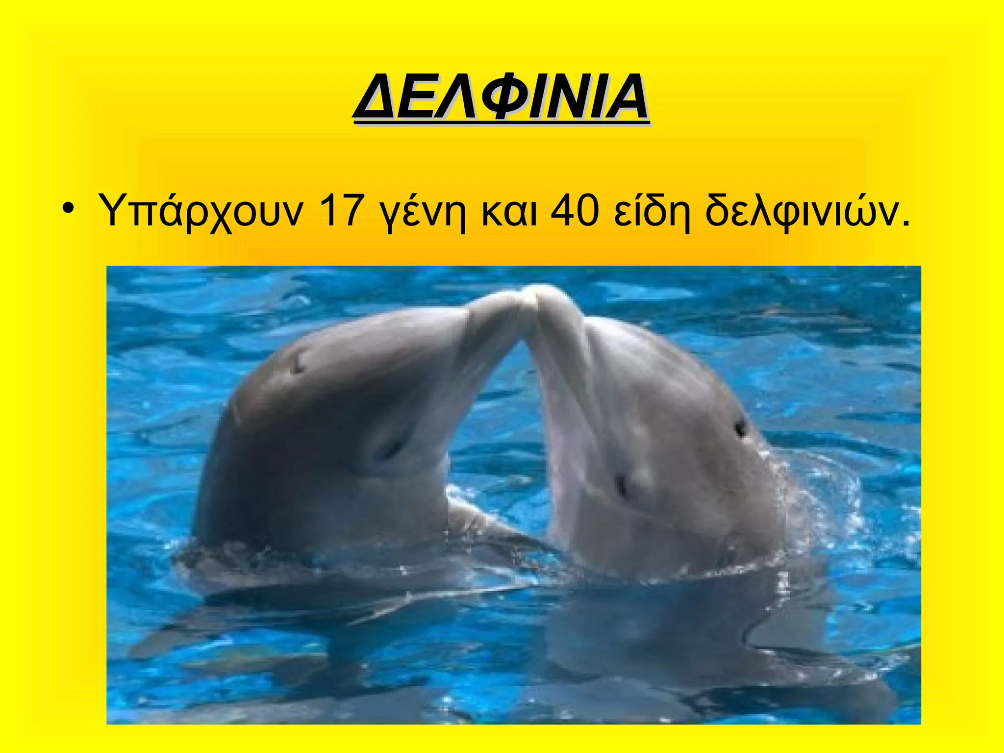 ΔΕΛΦΙΝΙΑΔΕΛΦΙΝΙΑ
• Υπάρχουν 17 γένη και 40 είδη δελφινιών.
 
