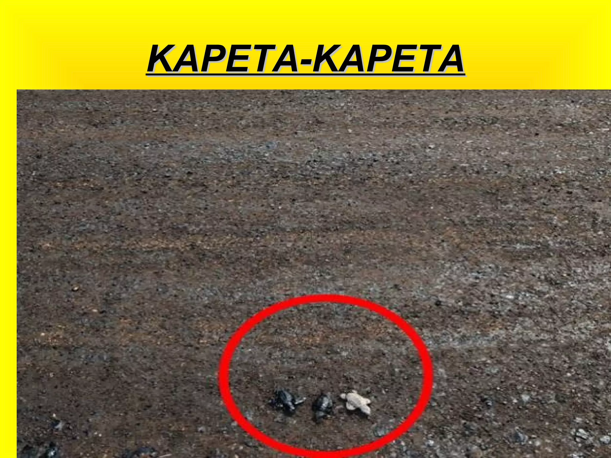 ΚΑΡΕΤΑ-ΚΑΡΕΤΑΚΑΡΕΤΑ-ΚΑΡΕΤΑ
 