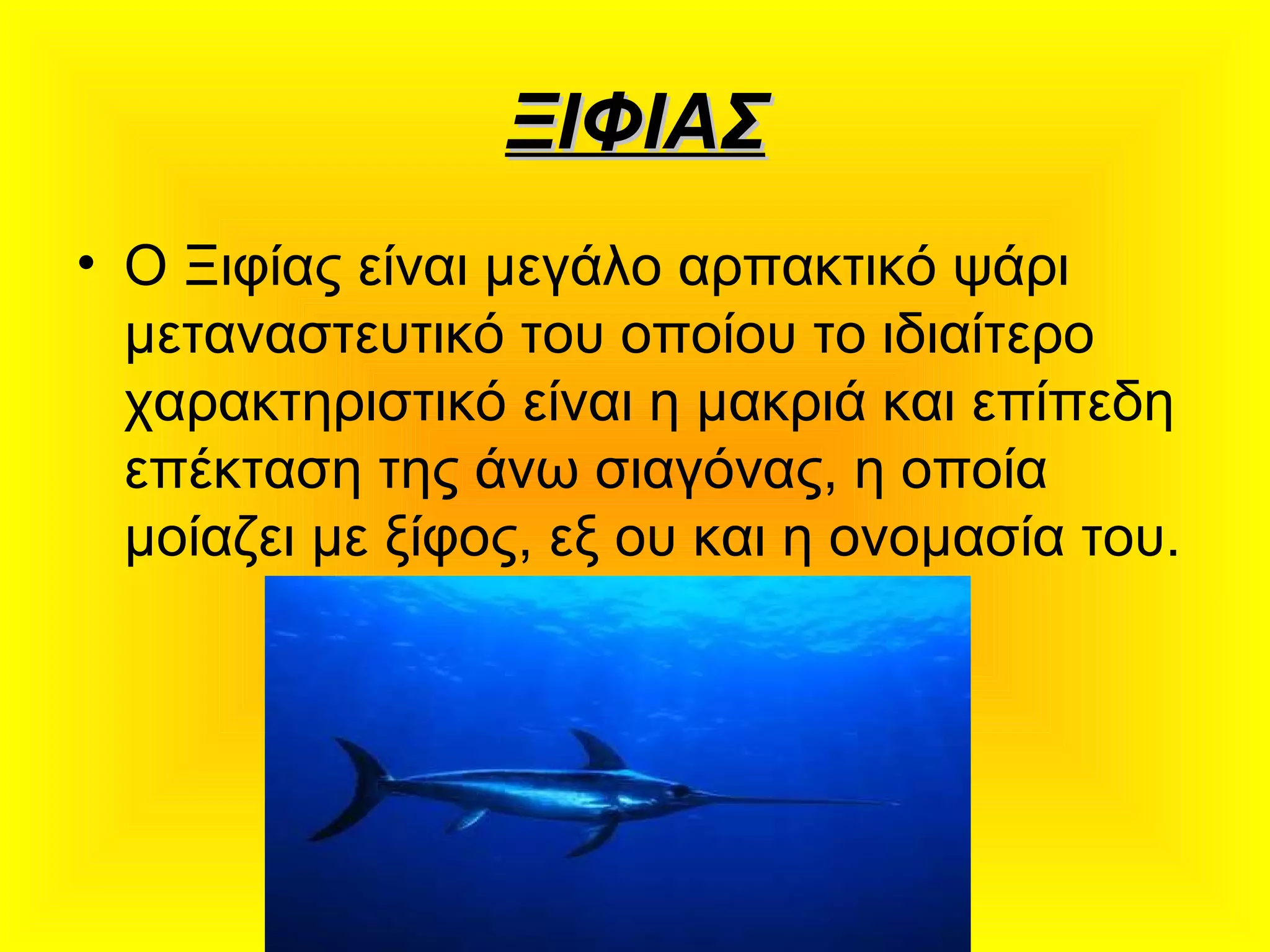ΞΙΦΙΑΣΞΙΦΙΑΣ
• O Ξιφίας είναι μεγάλο αρπακτικό ψάρι
μεταναστευτικό του οποίου το ιδιαίτερο
χαρακτηριστικό είναι η μακριά και επίπεδη
επέκταση της άνω σιαγόνας, η οποία
μοίαζει με ξίφος, εξ ου και η ονομασία του.
 
