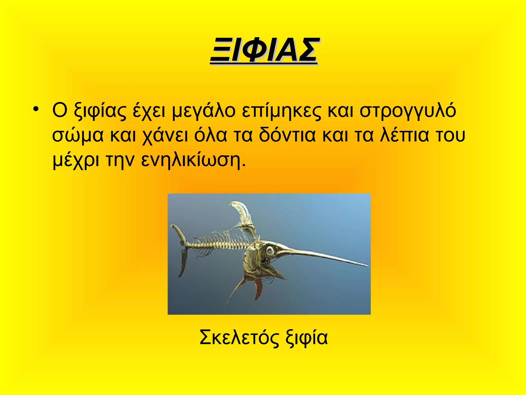 ΞΙΦΙΑΣΞΙΦΙΑΣ
• Ο ξιφίας έχει μεγάλο επίμηκες και στρογγυλό
σώμα και χάνει όλα τα δόντια και τα λέπια του
μέχρι την ενηλικίωση.
Σκελετός ξιφία
 