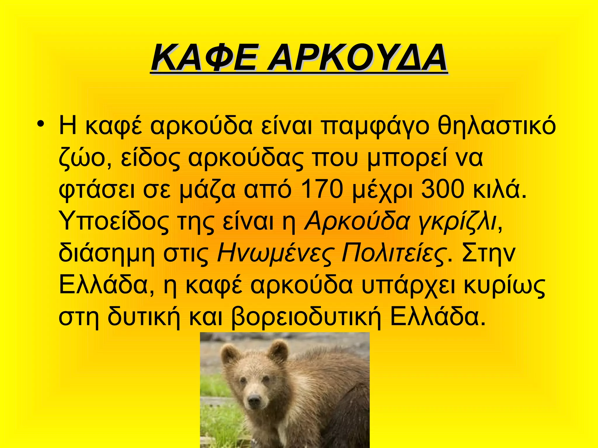 ΚΑΦΕ ΑΡΚΟΥΔΑΚΑΦΕ ΑΡΚΟΥΔΑ
• Η καφέ αρκούδα είναι παμφάγο θηλαστικό
ζώο, είδος αρκούδας που μπορεί να
φτάσει σε μάζα από 170 μέχρι 300 κιλά.
Υποείδος της είναι η Αρκούδα γκρίζλι,
διάσημη στις Ηνωμένες Πολιτείες. Στην
Ελλάδα, η καφέ αρκούδα υπάρχει κυρίως
στη δυτική και βορειοδυτική Ελλάδα.
 