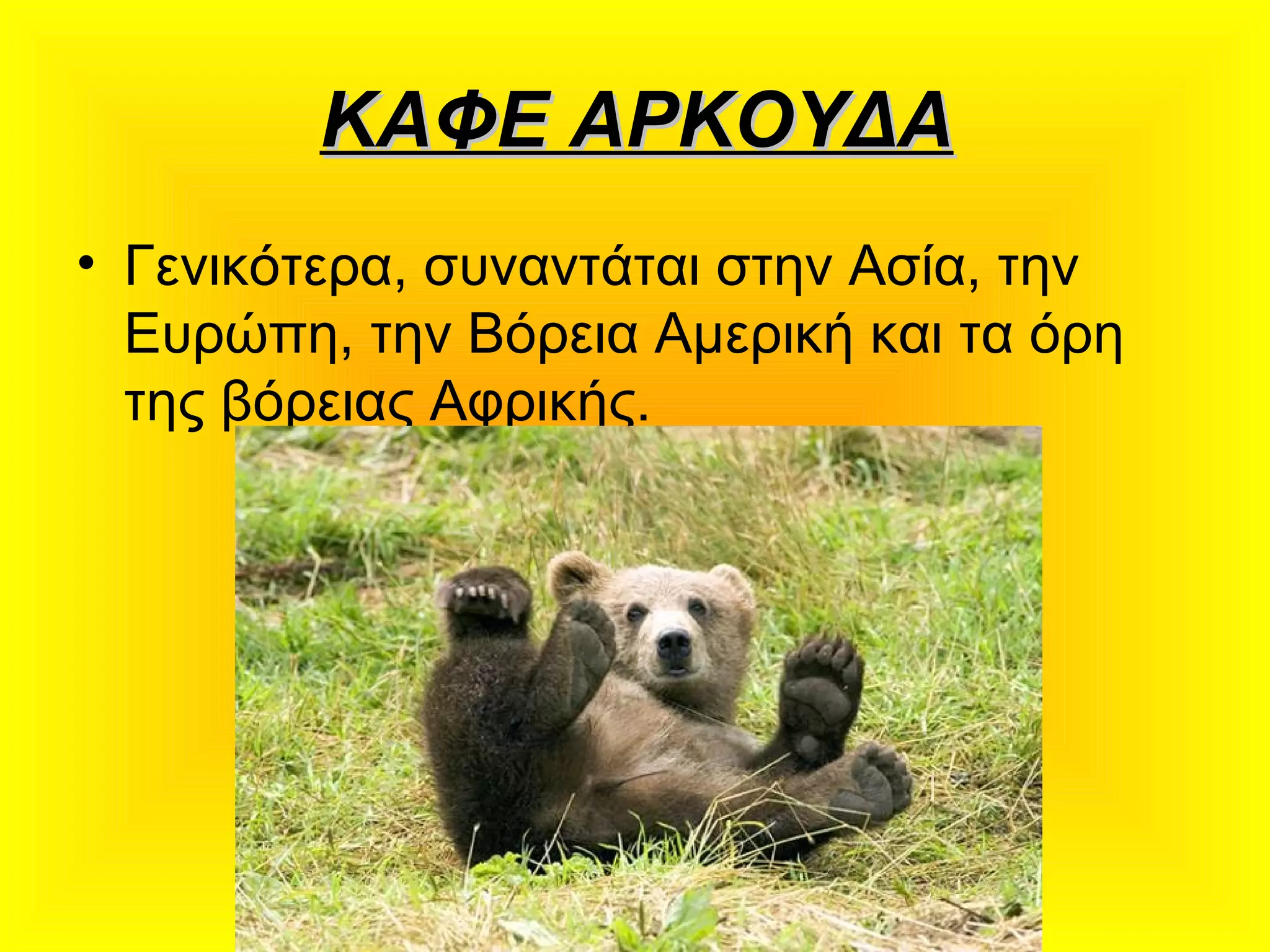 ΚΑΦΕ ΑΡΚΟΥΔΑΚΑΦΕ ΑΡΚΟΥΔΑ
• Γενικότερα, συναντάται στην Ασία, την
Ευρώπη, την Βόρεια Αμερική και τα όρη
της βόρειας Αφρικής.
 