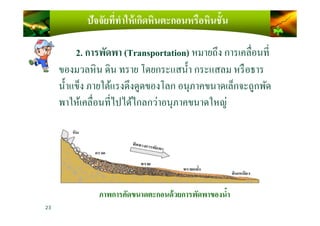 ปัจจัยที)ทําให้เกิดหินตะกอนหรือหินชั4น
2. การพัดพา (Transportation) หมายถึง การเคลือนที
ของมวลหิน ดิน ทราย โดยกระแสนํ)า กระแสลม หรือธาร
นํ)าแข็ง ภายใต้แรงดึงดูดของโลก อนุภาคขนาดเล็กจะถูกพัด
พาให้เคลือนทีไปได้ไกลกว่าอนุภาคขนาดใหญ่
ภาพการคัดขนาดตะกอนด้วยการพัดพาของนํ4า
23
 