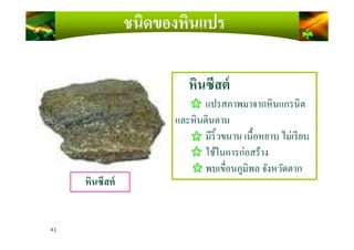 ชนิดของหินแปร
หินซีสต์
แปรสภาพมาจากหินแกรนิต
และหินดินดาน
41
หินซีสต์
และหินดินดาน
มีริ)วขนาน เนื)อหยาบ ไม่เรียบ
ใช้ในการก่อสร้าง
พบเขือนภูมิพล จังหวัดตาก
 