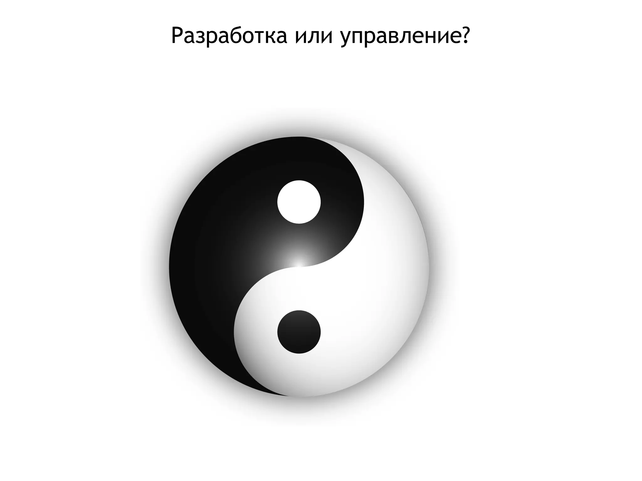 Разработка или управление?
 
