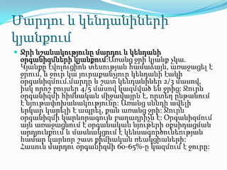 Մարդու և կենդանիների
կյանքում
 Ջրի նշանակությունը մարդու և կենդանի
օրգանիզմների կյանքում:Առանց ջրի կյանք չկա.
Կյանքը էվոլուցիոն տեսության համաձայն, առաջացել է
ջրում, և ջուր կա յուրաքանչյուր կենդանի էակի
օրգանիզմում.մարդը և շատ կենդանիներ 2/3 մասով,
իսկ որոշ բույսեր 4/5 մասով կազմված են ջրից: Ջուրն
օրգանիզմի հիմնական միջավայրն է, որտեղ ընթանում
է նյութափոխանակությունը: Առանց սննդի ավելի
երկար կարելի է ապրել, քան առանց ջրի: Ջուրն
օրգանիզմի կարևորագույն բաղադրիչն է: Օրգանիզմում
այն առաջացնում է օրգանական նյութերի օքսիդացման
արդյունքում և մասնակցում է կենսագործունեության
համար կարևոր շատ քիմիական ռեակցիաների:
Հասուն մարդու օրգանիզմի 60-65%-ը կազմում է ջուրը:
 