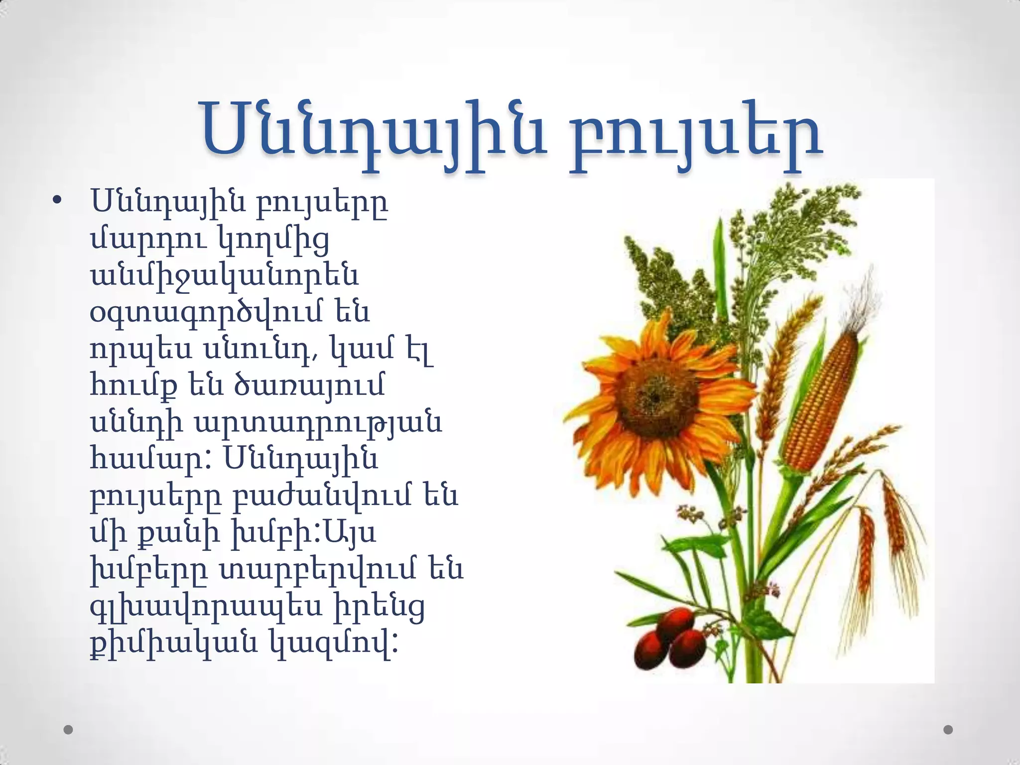 Սննդային բույսեր
• Սննդային բույսերը
մարդու կողմից
անմիջականորեն
օգտագործվում են
որպես սնունդ, կամ էլ
հումք են ծառայում
սննդի արտադրության
համար: Սննդային
բույսերը բաժանվում են
մի քանի խմբի:Այս
խմբերը տարբերվում են
գլխավորապես իրենց
քիմիական կազմով:
 