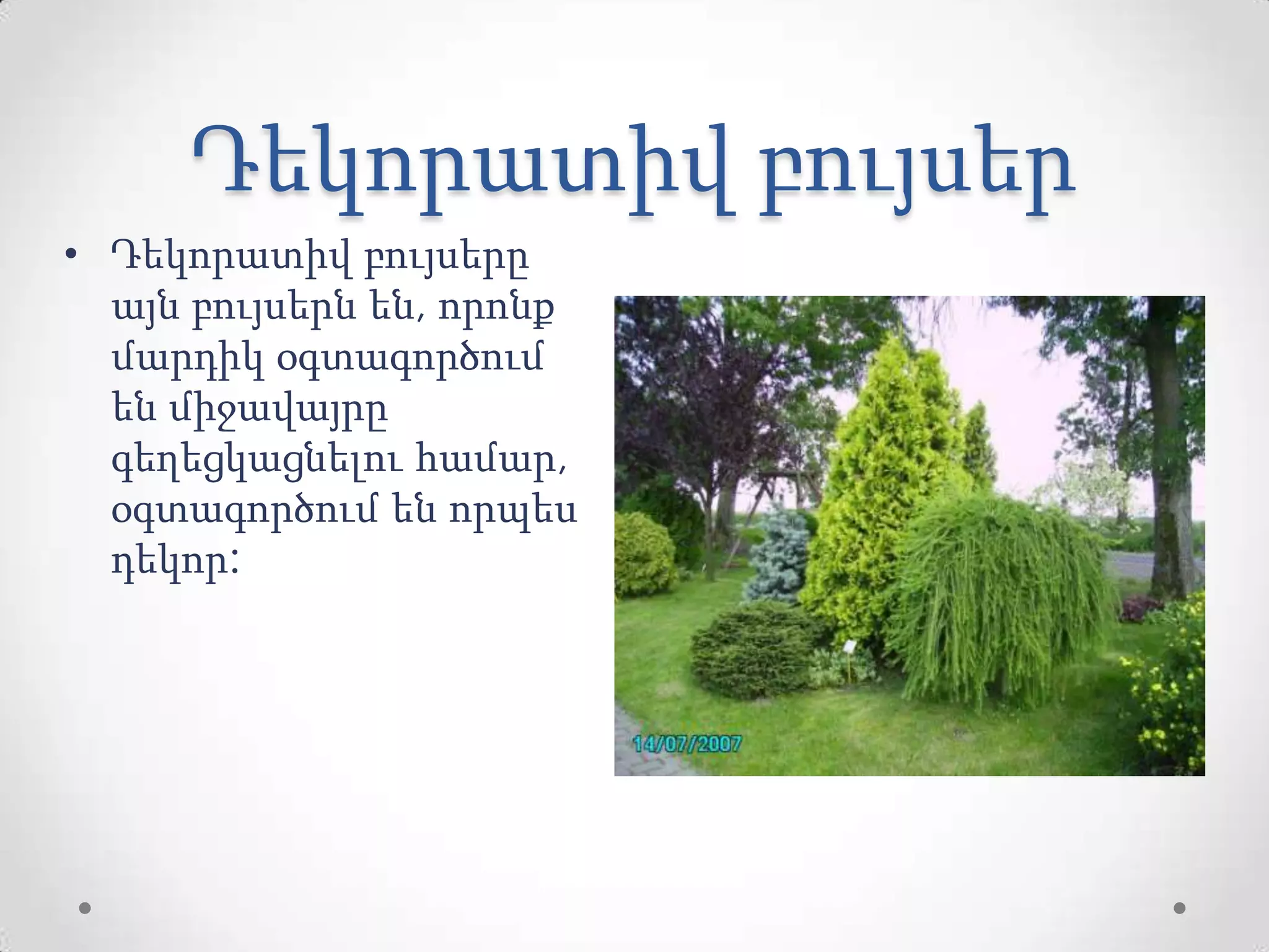 Դեկորատիվ բույսեր
• Դեկորատիվ բույսերը
այն բույսերն են, որոնք
մարդիկ օգտագործում
են միջավայրը
գեղեցկացնելու համար,
օգտագործում են որպես
դեկոր:
 