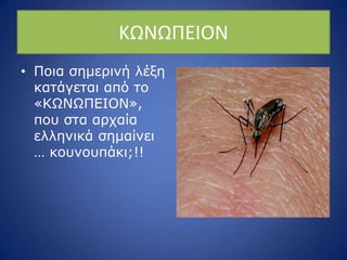 ΚΩΝΩΡΕΙΟΝ
• Ξνηα ζεκεξηλή ιέμε
θαηάγεηαη από ην
«ΘΩΛΩΞΔΗΝΛ»,
πνπ ζηα αξραία
ειιεληθά ζεκαίλεη
… θνπλνππάθη;!!
 