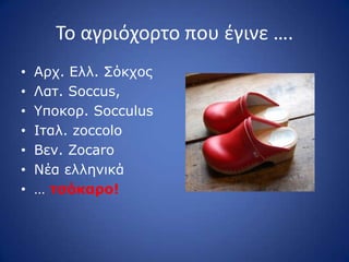 Το αγριόχορτο που ζγινε ….
• Αξρ. Διι. Πόθρνο
• Ιαη. Soccus,
• ΢πνθνξ. Socculus
• Ηηαι. zoccolo
• Βελ. Zocaro
• Λέα ειιεληθά
• … ηζόκαπο!
 