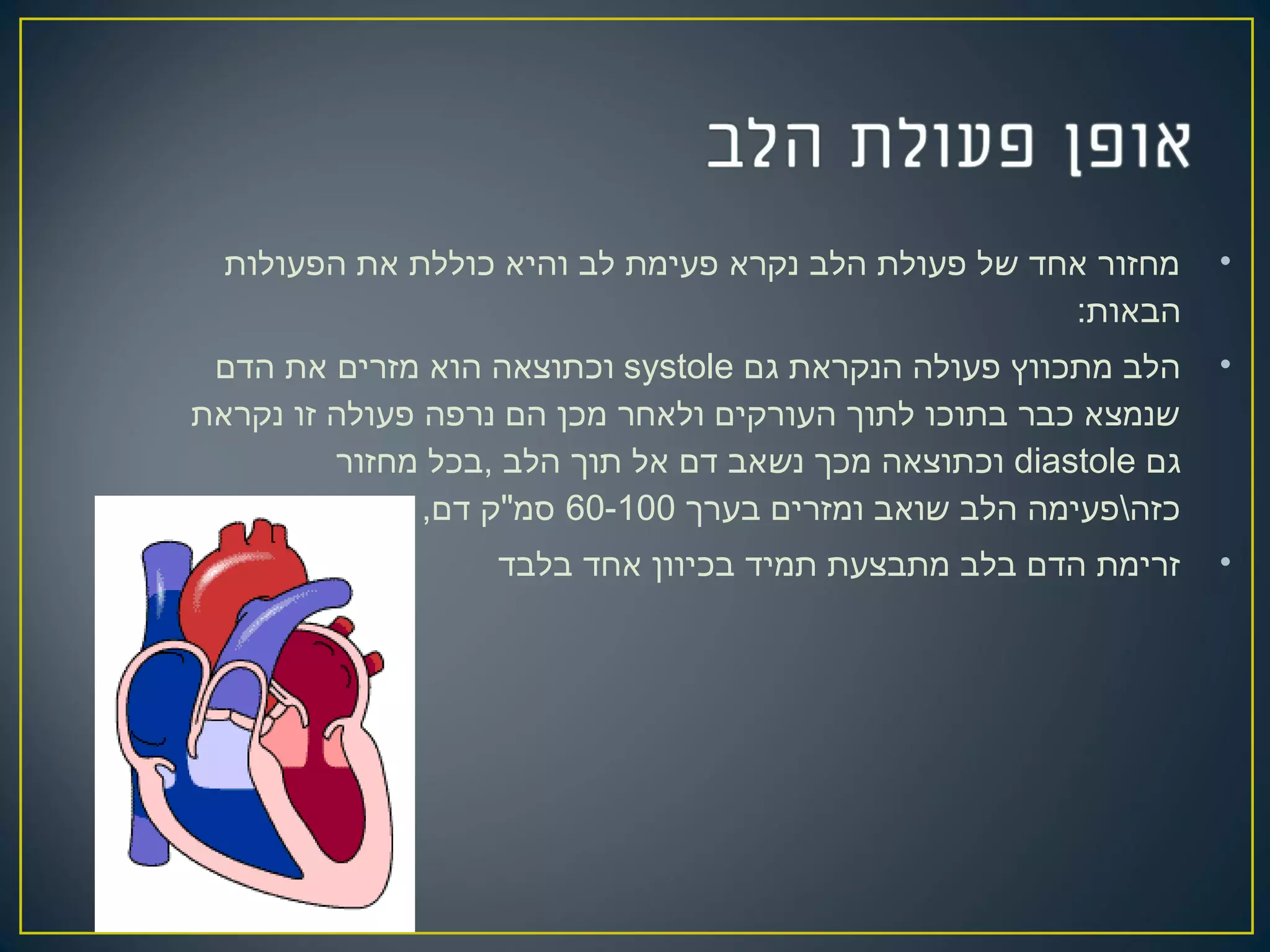 •‫הפעולות‬ ‫את‬ ‫כוללת‬ ‫והיא‬ ‫לב‬ ‫פעימת‬ ‫נקרא‬ ‫הלב‬ ‫פעולת‬ ‫של‬ ‫אחד‬ ‫מחזור‬
:‫הבאות‬
•‫גם‬ ‫הנקראת‬ ‫פעולה‬ ‫מתכווץ‬ ‫הלב‬systole‫הדם‬ ‫את‬ ‫מזרים‬ ‫הוא‬ ‫וכתוצאה‬
‫נקראת‬ ‫זו‬ ‫פעולה‬ ‫נרפה‬ ‫הם‬ ‫מכן‬ ‫ולאחר‬ ‫העורקים‬ ‫לתוך‬ ‫בתוכו‬ ‫כבר‬ ‫שנמצא‬
‫גם‬diastole‫מחזור‬ ‫,בכל‬ ‫הלב‬ ‫תוך‬ ‫אל‬ ‫דם‬ ‫נשאב‬ ‫מכך‬ ‫וכתוצאה‬
‫בערך‬ ‫ומזרים‬ ‫שואב‬ ‫הלב‬ ‫כזהפעימה‬60-100,‫דם‬ ‫סמ"ק‬
•‫בלבד‬ ‫אחד‬ ‫בכיוון‬ ‫תמיד‬ ‫מתבצעת‬ ‫בלב‬ ‫הדם‬ ‫זרימת‬
 