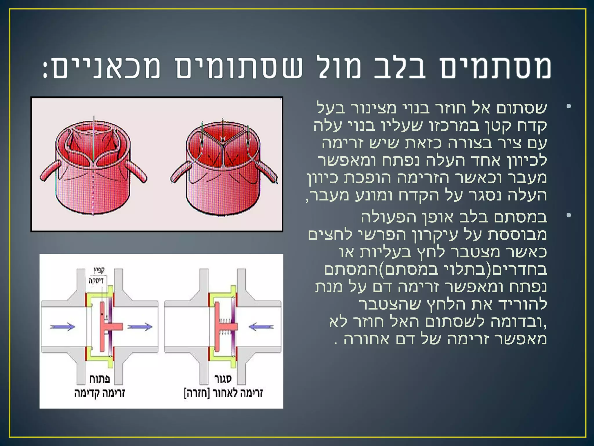 •‫בעל‬ ‫מצינור‬ ‫בנוי‬ ‫חוזר‬ ‫אל‬ ‫שסתום‬
‫עלה‬ ‫בנוי‬ ‫שעליו‬ ‫במרכזו‬ ‫קטן‬ ‫קדח‬
‫זרימה‬ ‫שיש‬ ‫כזאת‬ ‫בצורה‬ ‫ציר‬ ‫עם‬
‫ומאפשר‬ ‫נפתח‬ ‫העלה‬ ‫אחד‬ ‫לכיוון‬
‫כיוון‬ ‫הופכת‬ ‫הזרימה‬ ‫וכאשר‬ ‫מעבר‬
,‫מעבר‬ ‫ומונע‬ ‫הקדח‬ ‫על‬ ‫נסגר‬ ‫העלה‬
•‫הפעולה‬ ‫אופן‬ ‫בלב‬ ‫במסתם‬
‫לחצים‬ ‫הפרשי‬ ‫עיקרון‬ ‫על‬ ‫מבוססת‬
‫או‬ ‫בעליות‬ ‫לחץ‬ ‫מצטבר‬ ‫כאשר‬
‫במסתם(המסתם‬ ‫בחדרים)בתלוי‬
‫מנת‬ ‫על‬ ‫דם‬ ‫זרימה‬ ‫ומאפשר‬ ‫נפתח‬
‫שהצטבר‬ ‫הלחץ‬ ‫את‬ ‫להוריד‬
‫לא‬ ‫חוזר‬ ‫האל‬ ‫לשסתום‬ ‫,ובדומה‬
. ‫אחורה‬ ‫דם‬ ‫של‬ ‫זרימה‬ ‫מאפשר‬
 