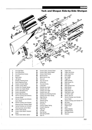York and Shogun Side-by-Side Shotgun
1 Front Sight Bead 23 Forearm Catch, Extractor Model 51 Trigger Plate
2 Front Sling Swivel 24 Forearm Catch, Ejector Model 52 Trigger Plate Screw
3 Front Sling Swivel Screws 25 Forearm Catch Screws 53 Upper Tang Screw
4 Extractor 26 Barrel Pivot Pin 54 Front Trigger
5 Right Ejector 27 Barrel Pivot Pin Cap 55 Rear Trigger
6 Left Ejector 28 Top Lever 56 Trigger Pin
7 Extractor Retaining Screw 29 Top Lever Screw 57 Safety Activator
8 Ejector Retaining Screw 30 Vertical Bolt 58 Safety Square Pin
9 Forearm, Extractor Model 31 Top Lever Spring 59 Safety Bar
10 Forearm, Ejector Model 32 Locking Bar 60 Safety Spring Screw
11 Forearm Iron, Extractor Model 33 Cocking Lever, Right 61 Safety Spring
12 Forearm Iron, Ejector Model 34 Cocking Lever, Left 62 Safety Button
13 Forearm Mounting Screw 35 Cocking Lever, Right 63 Safety Button Pin
14 Forearm Escutcheon 36 Cocking Lever, Left 64 Right Ejector Latch
15 Forearm Mounting Screw 37 Cocking Lever Retaining Screws 65 Left Ejector Latch
16 Hammer Cocking Lever Activator, 38 Cocking Lever Return Spring 66 Ejector Latch Pin
Extractor Model 39 Right Hammer 67 Hammer Cocking Lever Activator,
17 Hammer Cocking Lever Activator, 40 Left Hammer Ejector Model
Ejector Model 41 Hammer Spring 68 Hammer Cocking Lever Activator Pin
18 Hammer Cocking Lever Activator 42 Hammer Pin 69 Set Screw
Retaining Screw, Extractor Model 43 Firing Pins 70 Ejector Springs
19 Hammer Cocking Lever Activator 44 Firing Pin Return Spring 71 Trigger Guard
45 Firing Pin Bushing
Retaining Screw, Ejector Model
72 Stock
20 Forearm Catch Spring
46 Right Sear 73 Plastic Buttplate
21 Forearm Catch Button, Extractor
47 Left Sear 74 Buttplate Screws
48 Sear Springs
Model
75 Rear Sling Swivel
49 Sear Spring Guides 76 Receiver
22 Forearm Catch Button, Ejector 50 Sear Pin
 