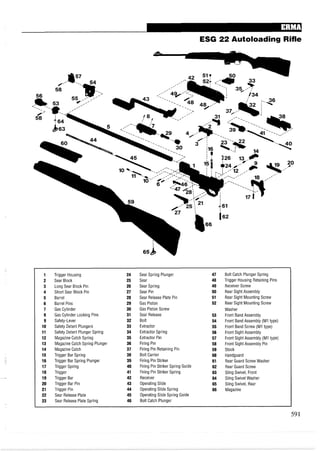 ESG 22 Autoloading Rifle
1 Trigger Housing 24 Sear Spring Plunger 47 Bolt Catch Plunger Spring
2 Sear Block 25 Sear 48 Trigger Housing Retaining Pins
3 Long Sear Block Pin 26 Sear Spring 49 Receiver Screw
4 Short Sear Block Pin 27 Sear Pin 50 Rear Sight Assembly
5 Barrel 28 Sear Release Plate Pin 51 Rear Sight Mounting Screw
6 Barrel Pins 29 Gas Piston 52 Rear Sight Mounting Screw
7 Gas Cylinder 30 Gas Piston Screw Washer
8 Gas Cylinder Locking Pins 31 Sear Release 53 Front Band Assembly
9 Safety-Lever 32 Bolt 54 Front Band Assembly (MI type)
10 Safety Detent Plungers 33 Extractor 55 Front Band Screw (MI type)
11 Safety Detent Plunger Spring 34 Extractor Spring 56 Front Sight Assembly
12 Magazine Catch Spring 35 Extractor Pin 57 Front Sight Assembly (MI type)
13 Magazine Catch Spring Plunger 36 Firing Pin 58 Front Sight Assembly Pin
14 Magazine Catch 37 Firing Pin Retaining Pin 59 Stock
15 Trigger Bar Spring 38 Bolt Carrier 60 Handguard
16 Trigger Bar Spring Plunger 39 Firing Pin Striker 61 Rear Guard Screw Washer
17 Trigger Spring 40 Firing Pin Striker Spring Guide 62 Rear Guard Screw
18 Trigger 41 Firing Pin Striker Spring 63 Sling Swivel, Front
19 Trigger Bar 42 Receiver 64 Sling Swivel Washer
20 Trigger Bar Pin 43 Operating Slide 65 Sling Swivel, Rear
21 Trigger Pin 44 Operating Slide Spring 66 Magazine
22 Sear Release Plate 45 Operating Slide Spring Guide
23 Sear Release Plate Spring 46 Bolt Catch Plunger
 