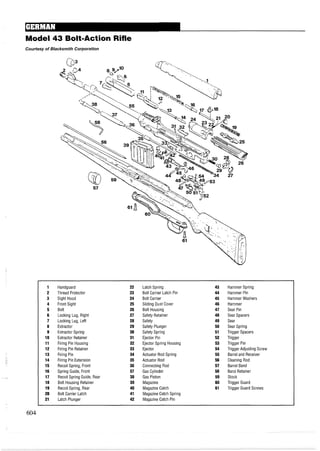Model 43 Bolt-Action Rifle
Courtesy of Blacksmith Corporation
1 Handguard 22 Latch Spring 43 Hammer Spring
2 Thread Protector 23 Bolt Carrier Latch Pin 44 Hammer Pin
3 Sight Hood 24 Bolt Carrier 45 Hammer Washers
4 Front Sight 25 Sliding Dust Cover 46 Hammer
5 Bolt 26 Bolt Housing 47 Sear Pin
6 Locking Lug, Right 27 Safety Retainer 48 Sear Spacers
7 Locking Lug, Left 28 Safety 49 Sear
8 Extractor 29 Safety Plunger 50 Sear Spring
9 Extractor Spring 30 Safety Spring 51 Trigger Spacers
10 Extractor Retainer 31 Ejector Pin 52 Trigger
11 Firing Pin Housing 32 Ejector Spring Housing 53 Trigger Pin
12 Firing Pin Retainer 33 Ejector 54 Trigger Adjusting Screw
13 Firing Pin 34 Actuator Rod Spring 55 Barrel and Receiver
14 Firing Pin Extension 35 Actuator Rod 56 Cleaning Rod
15 Recoil Spring, Front 36 Connecting Rod 57 Barrel Band
16 Spring Guide, Front 37 Gas Cylinder 58 Band Retainer
17 Recoil Spring Guide, Rear 38 Gas Piston 59 Stock
18 Bolt Housing Retainer 39 Magazine 60 Trigger Guard
19 Recoil Spring, Rear 40 Magazine Catch 61 Trigger Guard Screws
20 Bolt Carrier Latch 41 Magazine Catch Spring
21 Latch Plunger 42 Magazine Catch Pin
 