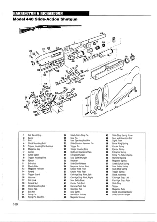 Model 440 Slide-Action Shotgun
1 Ball Barrel Ring 24 Safety Catch Stop Pin 47 Slide Stop Spring Screw
2 Barrel 25 Sear Pin 48 Sear and Operating Rod
3 Bolt 26 Sear Operating Rod Pin 49 Sight, Front
4 Stock Mounting Bolt 27 Slide Stop and Hammer Pin 50 Barrel Ring Spring
5 Trigger Housing Pin Bushings 28 Trigger Pin 51 Carrier Spring
6 Magazine Cap 29 Trigger Housing Pins 52 Ejector Spring
7 Carrier 30 Bolt Lock Operating Plate 53 Extractor Spring
8 Safety Catch 31 Extractor Plunger 54 Firing Pin Return Spring
9 Trigger Housing Pins 32 Sear Safety Plunger 55 Hammer Spring
10 Ejector 33 Receiver 56 Magazine Spring
11 Extractor 34 Slide Stop Release 57 Safety Catch Spring
12 Plastic Filler 35 Magazine Spring Ring 58 Sear Safety Spring
13 Magazine Follower 36 Ejector Rivet, Front 59 Slide Stop Spring
14 Forend 37 Ejector Rivet, Rear 60 Trigger Spring
15 Trigger Guard 38 Cartridge Stop Rivet, Left 61 Stock Assembly
16 Hammer 39 Cartridge Stop Rivet, Right 62 Cartridge Stop, Left
17 Bolt Lock 40 Sear Safety Rivet 63 Cartridge Stop, Right
18 Forend Nut 41 Carrier Push Rod 64 Slide Stop
19 Stock Mounting Nut 42 Hammer Push Rod 65 Trigger
20 Recoil Pad 43 Operating Rod 66 MagazineTube
21 Bolt Pin 44 Sear Safety 67 Stock Mounting Washer
22 Firing Pin 45 Recoil Pad Screws 68 Safety Catch Plunger
23 Firing Pin Stop Pin 46 Magazine Screws
 