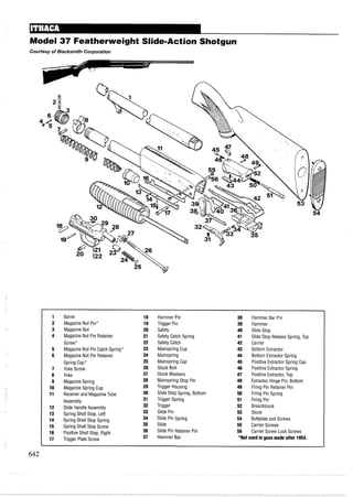 Model 37 Featherweight Slide-Action Shotgun
Courtesyof Blacksmith Corporation
1 Barrel 18 Hammer Pin 38 Hammer Bar Pin
2 Magazine Nut Pin* 19 Trigger Pin 39 Hammer
3 Magazine Nut 20 Safety 40 Slide Stop
4 Magazine Nut Pin Retainer 21 Safety Catch Spring 41 Slide Stop ReleaseSpring, Top
Screw* 22 Safety Catch 42 Carrier
5 Magazine Nut Pin Catch Spring* 23 Mainspring Cup 43 Bottom Extractor
6 Magazine Nut Pin Retainer 24 Mainspring 44 Bottom Extractor Spring
Spring Cap* 25 Mainspring Cap 45 Positive Extractor Spring Cap
7 Yoke Screw 26 Stock Bolt 46 Positive Extractor Spring
8 Yoke 27 Stock Washers 47 Positive Extractor, Top
9 Magazine Spring 28 Mainspring Stop Pin 48 Extractor Hinge Pin, Bottom
10 Magazine Spring Cup 29 Trigger Housing 49 Firing Pin Retainer Pin
11 Receiverand MagazineTube 30 Slide Stop Spring, Bottom 50 Firing Pin Spring
Assembly 31 Trigger Spring 51 Firing Pin
12 Slide HandleAssembly 32 Trigger 52 Breechblock
13 Spring Shell Stop, Left 33 Slide Pin 53 Stock
14 Spring Shell Stop Spring 34 Slide Pin Spring 54 Buttplate and Screws
15 Spring Shell Stop Screw 35 Slide 55 Carrier Screws
16 Positive Shell Stop, Right 36 Slide Pin Retainer Pin 56 Carrier Screw Lock Screws
17 Trigger Plate Screw 37 Hammer Bar *Not used in guns made after 1954.
 
