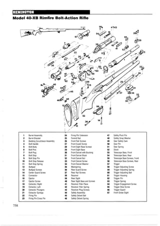 Model 40-XB Rimfire Bolt-Action Rifle
1 /
V
1 Barrel Assembly 24 Firing Pin Extension 47 Safety Pivot Pin
2 Barrel Bracket 25 Forend Rail 48 Safety Snap Washer
3 Bedding Escutcheon Assembly 26 Front Rail Screws 49 Sear Safety Cam
4 Bolt Handle 27 Front Guard Screw 50 Sear Pin
5 Bolt Body 28 Front Sight Base Screws 51 Sear Spring
6 Bolt Pins 29 Front Sight Base 52 Stock
7 Bolt Plug 30 Front Swivel with Bushing 53 Telescope Base, Front
8 Bolt Stop 31 Front Swivel Block 54 Telescope Base, Rear
9 Bolt Stop Pin 32 Front Swivel Nut 55 Telescope Base Screws, Front
10 Bolt Stop Release 33 Front Swivel Screw 56 Telescope Base Screws, Rear
11 Bolt Stop Spring 34 Front Swivel Washer 57 Trigger
12 Buttpad 35 Mainspring 58 Trigger Adjusting Screw
13 Buttpad Screws 36 Rear Guard Screw 59 Trigger Adjusting Spring
14 Center Guard Screw 37 Rear Rail Screws 60 Trigger Adjusting Ball
15 Connector 38 Receiver 61 Trigger Housing
16 Ejector 39 Rear Sight 62 Trigger Pin
17 Ejector Screw 40 Rear Sight Base and Screws 63 Trigger Spring
18 Extractor, Right 41 Receiver Filler Piece 64 Trigger Engagement Screw
19 Extractor, Left 42 ReceiverFiller Spring 65 Trigger Stop Screw
20 Extractor Plungers 43 Receiver Plug Screws 66 Trigger Guard
21 Extractor Springs 44 Safety Assembly 67 Front Globe Sight
22 Firing Pin 45 Safety Detent Ball
23 Firing Pin Cross Pin 46 Safety Detent Spring
 
