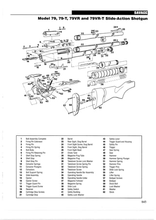 Model 79, 79-T, 79VR and 79VR-T Slide-Action Shotgun
1 Bolt Assembly Complete 22 Barrel 43 Safety-Lever
2 Firing Pin Extension 23 Rear Sight, Slug Barrel 44 Trigger Guard and Housing
3 Firing Pin 24 Front Sight Screw, Slug Barrel 45 Safety Pin
4 Firing Pin Spring 25 Front Sight, Slug Barrel 46 Trigger
5 Bolt Body 26 Front Sight Bead 47 Sear Spring
6 Firing Pin Retaining Pin 27 ChokeTube 48 Sear
7 Shell Stop Spring 28 Magazine Plug Tube 49 Hammer
8 Shell Stop 29 Magazine Plug 50 Hammer Spring Plunger
9 Shell Stop Pin 30 Takedown Screw Lock Washer 51 Hammer Spring
10 Extractor Springs 31 Takedown Screw Spring Pin 52 Hammer Pins
11 Extractor Plungers 32 Takedown Screw Spring 53 Trigger Pins
12 Extractors 33 Takedown Screw 54 Slide Lock Spring
13 Bolt Support Spring 34 Operating Handle Bar Assembly 55 Lifter
14 Slide Assembly 35 Operating Handle 56 Lifter Spring
15 Ejector 36 Operating Handle Collar 57 Buttpad Screws
16 Ejector Screw 37 Magazine Follower 58 Buttpad
17 Trigger Guard Pin 38 MagazineSpring 59 Stock Bolt
18 Trigger Guard Screw 39 Slide Lock 60 Lock Washer
19 Receiver 40 Safety Switch 61 Washer
20 Cartridge Stop Screws 41 Safety Bushing 62 Stock
21 Cartridge Stop 42 Safety Lock Washer
 