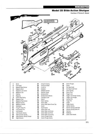手枪霰弹枪步枪拆解图集