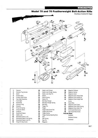 手枪霰弹枪步枪拆解图集